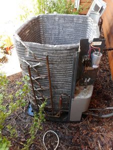 Gallery Image 17